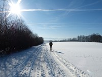 Existuje spolehlivý zdroj vitamínu D v zimě?
